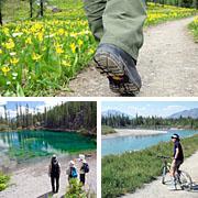 Bed & Breakfast Monarch Canmore Extérieur photo